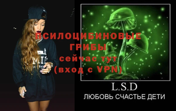 хмурый Вяземский