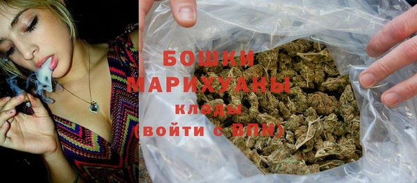 хмурый Вяземский
