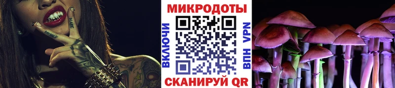 Купить где  Алзамай  Галлюциногенные грибы Psilocybine cubensis 